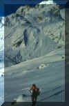 monte