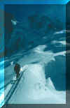 Glacier du Mont Mallet - Au loin les Grandes Jorasses