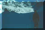 Marie sur le Glacier de Leschaux