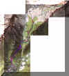 traces.jpg (97609 bytes)